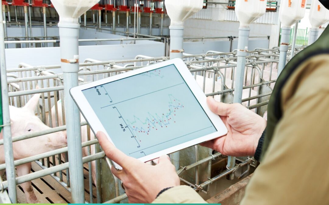 Seeing the Forest for the Trees: How Data, Real Time Insight and Benchmarking Are Transforming Modern Animal Agriculture!